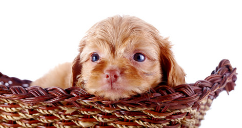 Similar image 5567707