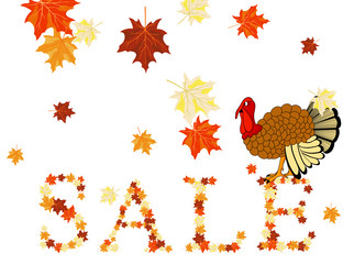 Similar image 5567872