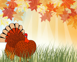 Similar image 5567904