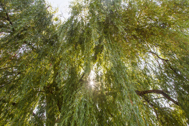 Similar image 5568091