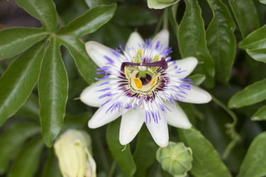 Similar image 5568104