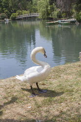 Similar image 5568208