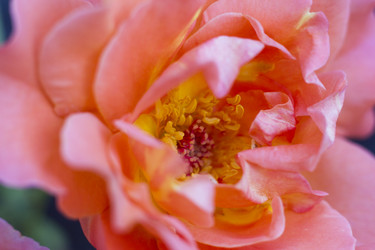 Similar image 5568236