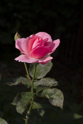 Similar image 5568253