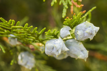 Similar image 5568260