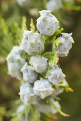 Similar image 5568262