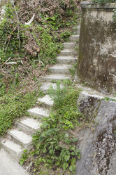 Similar image 5568263