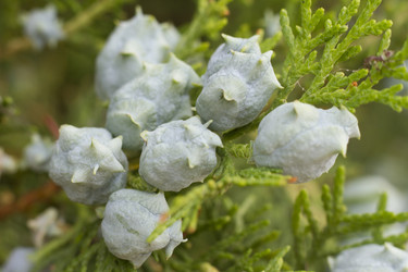 Similar image 5568266