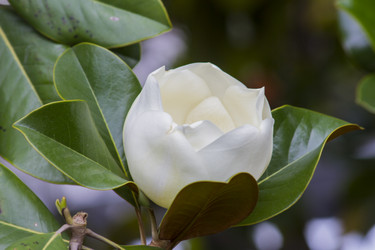 Similar image 5568274