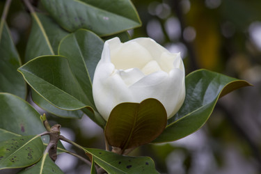 Similar image 5568275