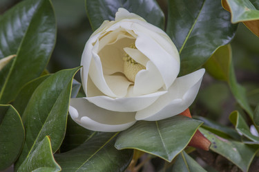 Similar image 5568276