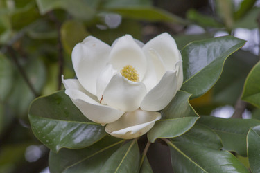 Similar image 5568277