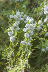 Similar image 5568283