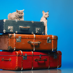 Similar image 5568297