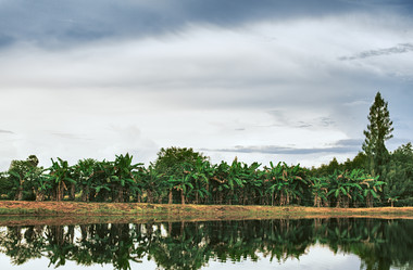 Similar image 5568319