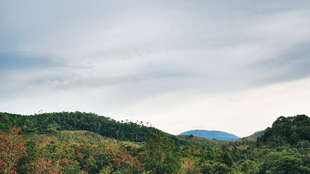 Similar image 5568321