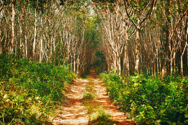 Similar image 5568360