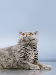 Similar image 5568364