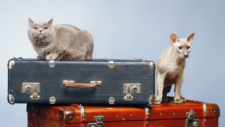 Similar image 5568368