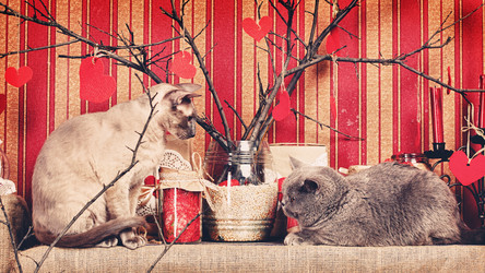 Similar image 5568377