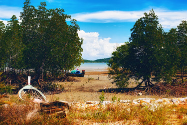 Similar image 5568383