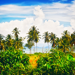 Similar image 5568385