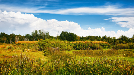 Similar image 5568392