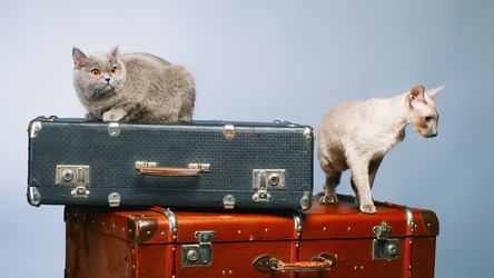 Similar image 5568405