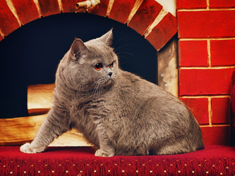 Similar image 5568408