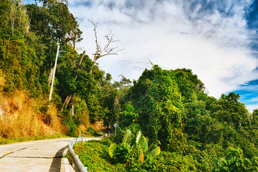 Similar image 5568414