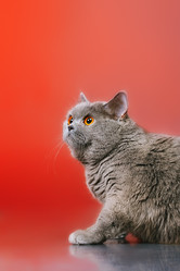 Similar image 5568426