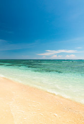 Similar image 5568453