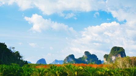 Similar image 5568473