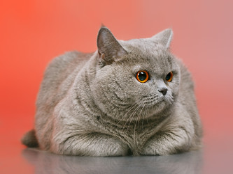 Similar image 5568476