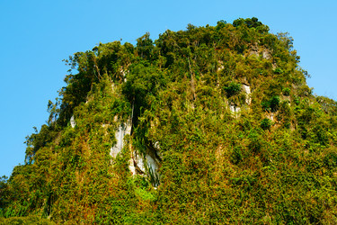 Similar image 5568489