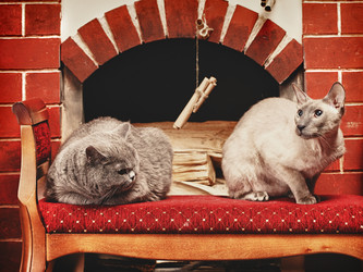 Similar image 5568501