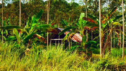 Similar image 5568511