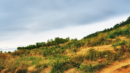 Similar image 5568515