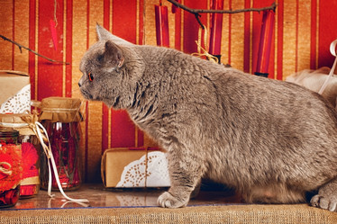 Similar image 5568538