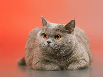 Similar image 5568541