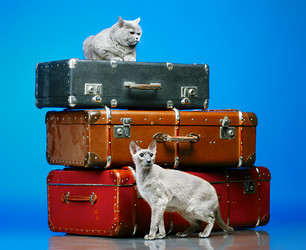 Similar image 5568544