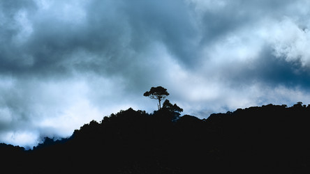 Similar image 5568557