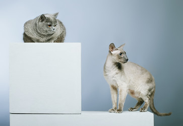 Similar image 5568572