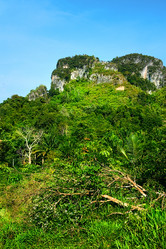 Similar image 5568573