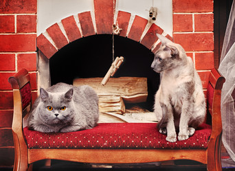 Similar image 5568576