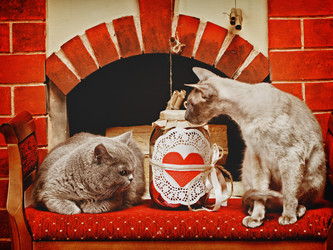 Similar image 5568577