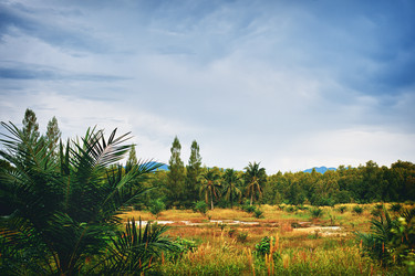 Similar image 5568583