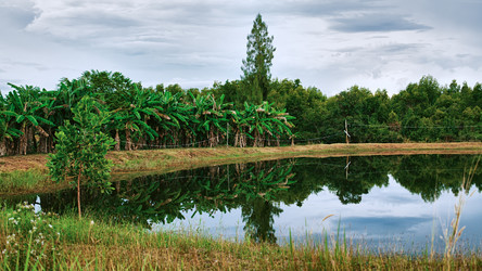 Similar image 5568584