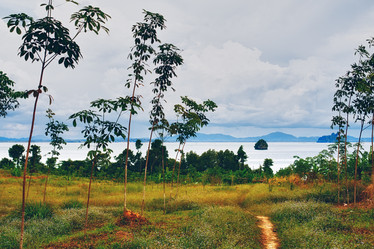 Similar image 5568613