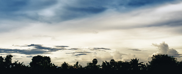 Similar image 5568619